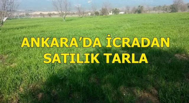 Ankara’da İcradan Satılık Tarla