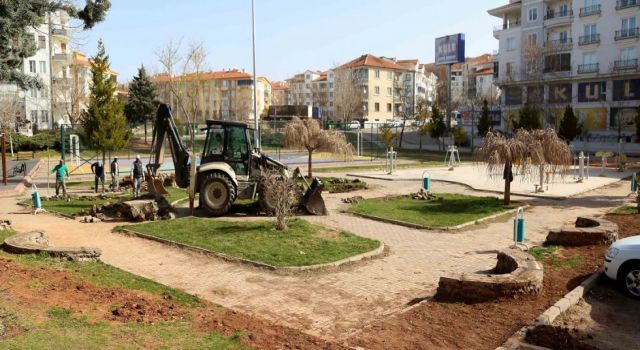 Aksaray Belediyesi, Bahar Hazırlıklarına Hız Verdi