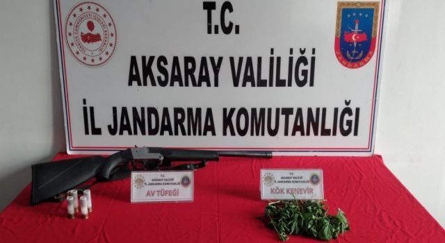 Yasadışı Kenevir Üretimi Yapan 3 Şüpheli Yakalandı