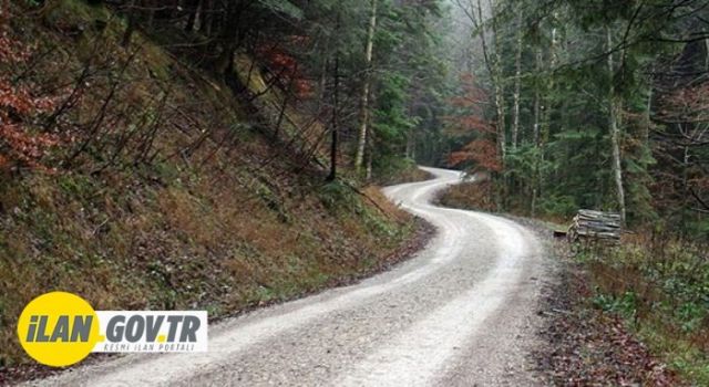 Yeni Orman Yolu Yaptırılacak