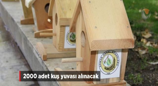 Kuş Yuvası Satın Alınacak