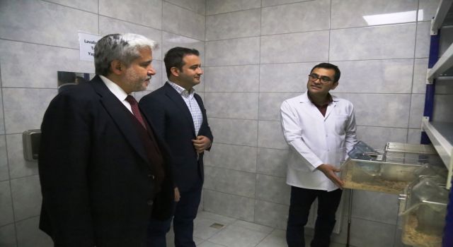 ASÜ Deney Hayvanları İçin Etik Kurallarını En Üst Düzeyde Uyguluyor