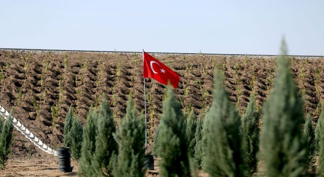 2022’de Yeşil Alan Varlığı Yüzde 20 Arttırıldı