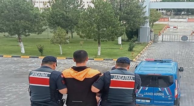 Jandarma Tek, Tek Topluyor