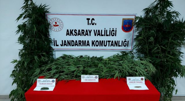 Jandarmadan Zehir Tacirine Operasyon
