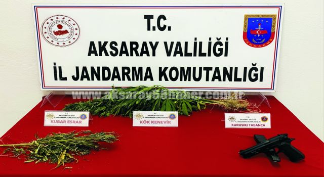 Jandarma Uyuşturucu Tacirlerine Göz Açtırmıyor
