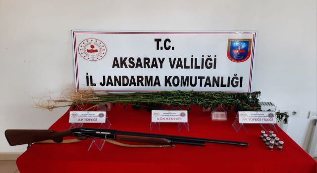 Kenevir Ekimi Yapan 1 Kişi Yakalandı