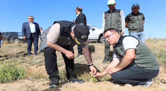 Vali Kumbuzoğlu, Yeşil Aksaray İçin Türkiye'de İlk Uygulanan Yöntemi İnceledi