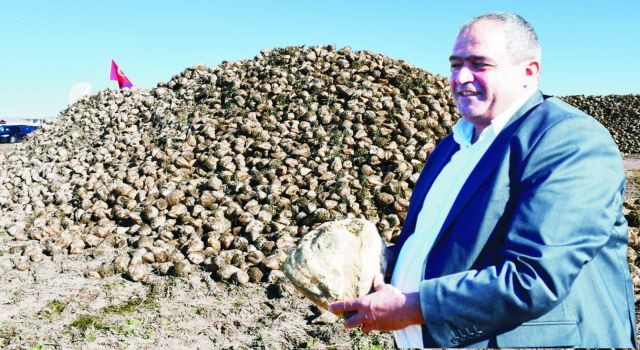 Pancar’da Beklenti 3 Bin 500 TL