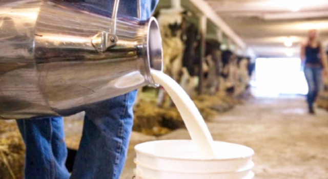 Süt Pazarı Küçülüyor