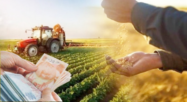 TÜİK “Tarımsal Üretim Maliyetleri Azalıyor”