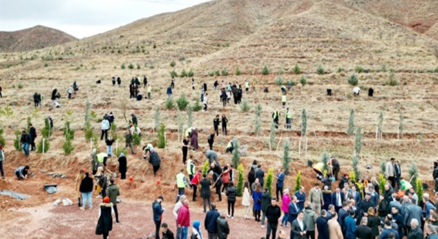Aksaraylılar “Dikmede Sıkıntımız Yok, Dikileni Korumuyoruz”