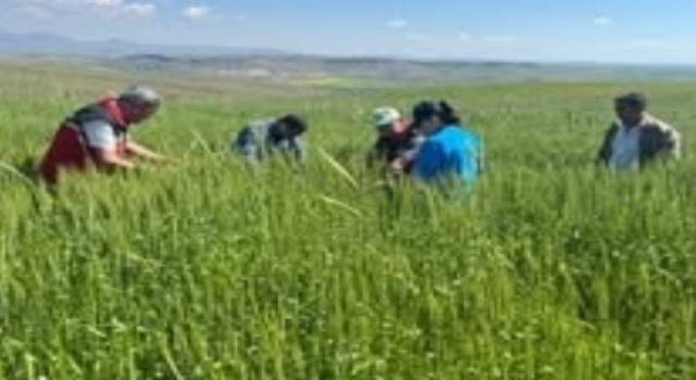 Tarım Alanlarında Denetimler Arttı