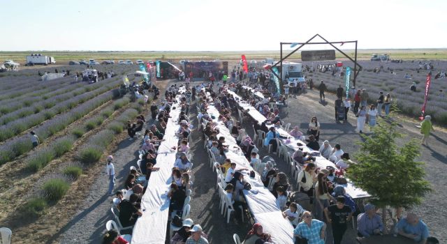 Lavanta Bahçesi İlk Günden Ziyaretçi Akınına Uğradı