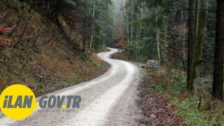 Orman Yolu Yaptırılacak