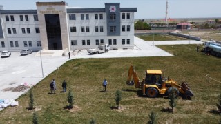 Eskil Adalet Sarayı Bahçesine Ağaç Dikildi