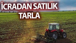 İzmir Bergama'da Mahkemeden Satılık 11.535 m² Tarla  