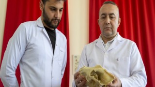 Aksaray Malaklısı Yurt Dışında Tanıtıldı