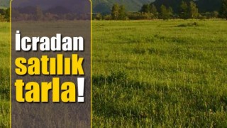 İzmir Ödemiş'te Mahkemeden Satılık 11.706 m² Tarım Arazisi