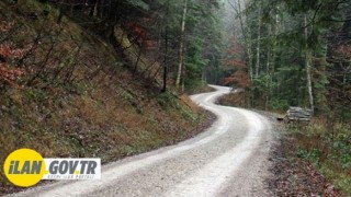 Yeni Orman Yolu Yaptırılacak