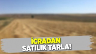 İcradan Satılık Tarla