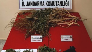 Güvenlik Güçlerinden Zehir Tacirine Darbe