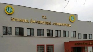 İstanbul Üniversitesi Cerrahpaşa Rektörlüğü 79 Öğretim Üyesi Alacak