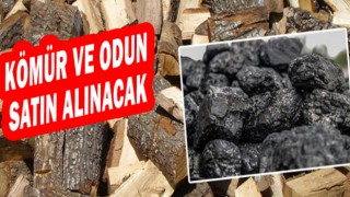 Kömür ve Odun Satın Alınacak
