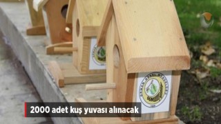 Kuş Yuvası Satın Alınacak