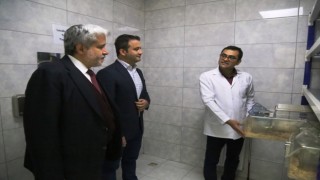 ASÜ Deney Hayvanları İçin Etik Kurallarını En Üst Düzeyde Uyguluyor
