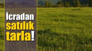 İcradan Satılık Kıraç Tarla