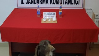 Zehir Tacirlerini Jandarma Yakaladı