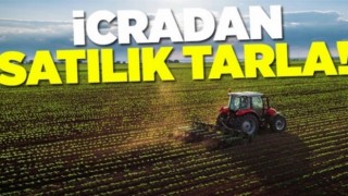 İcradan Satılık Tarla