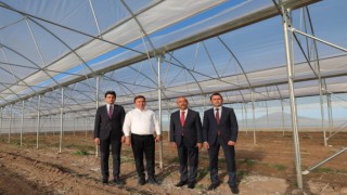 Kadınlar İçin Kurulan Sera Ürünleri ‘AŞIKLI’ Markası İle Görücüye Çıkıyor