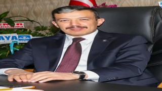 11 Hekim Atandı