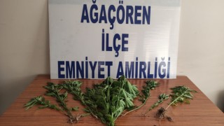 Ağaçören’de Asayiş Berkemal