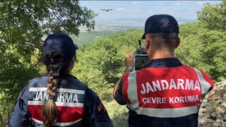 Jandarma Mesire Alanlarını Denetledi