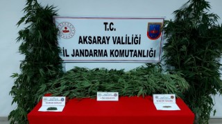 Jandarmadan Zehir Tacirine Operasyon