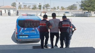Firari Hırsızı Jandarma Yakaladı