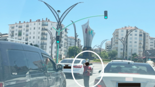 Trafik Işıklarını Mesken Tuttular