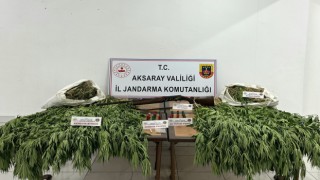 Bahçesinde Kenevirle Yakalanan Şahıs Tutuklandı
