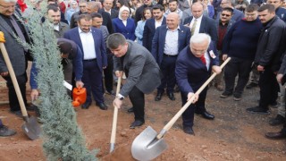 24 Kasım Öğretmenler Günü Hatıra Ormanında 5 Bin Fidan Toprakla Buluştu