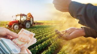 TÜİK “Tarımsal Üretim Maliyetleri Azalıyor”