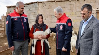 Köyünde Yaşamak İsteyene Dev Destek