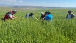 Tarım Alanlarında Denetimler Arttı