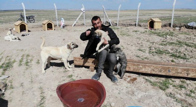 Köpekleriyle Köyünden Kovulan Engelli Genç, Kendini “Canlar”Ina Adadı