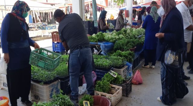 Pazar Tezgâhları Marketi Arattı