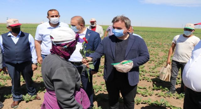 Vali Traktörle Tarlayı Sürüp Çapa Yaptı, Kadın Çiftçilere Gül Verdi