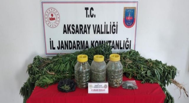 Jandarmadan Köy Evine Kenevir Operasyonu