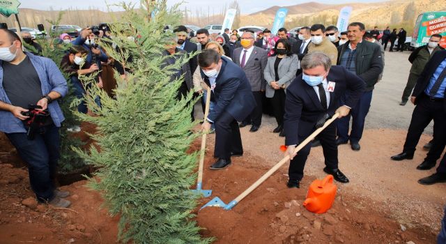 Öğretmenler Günü Anısına 24 Bin Fidan Toprakla Buluştu